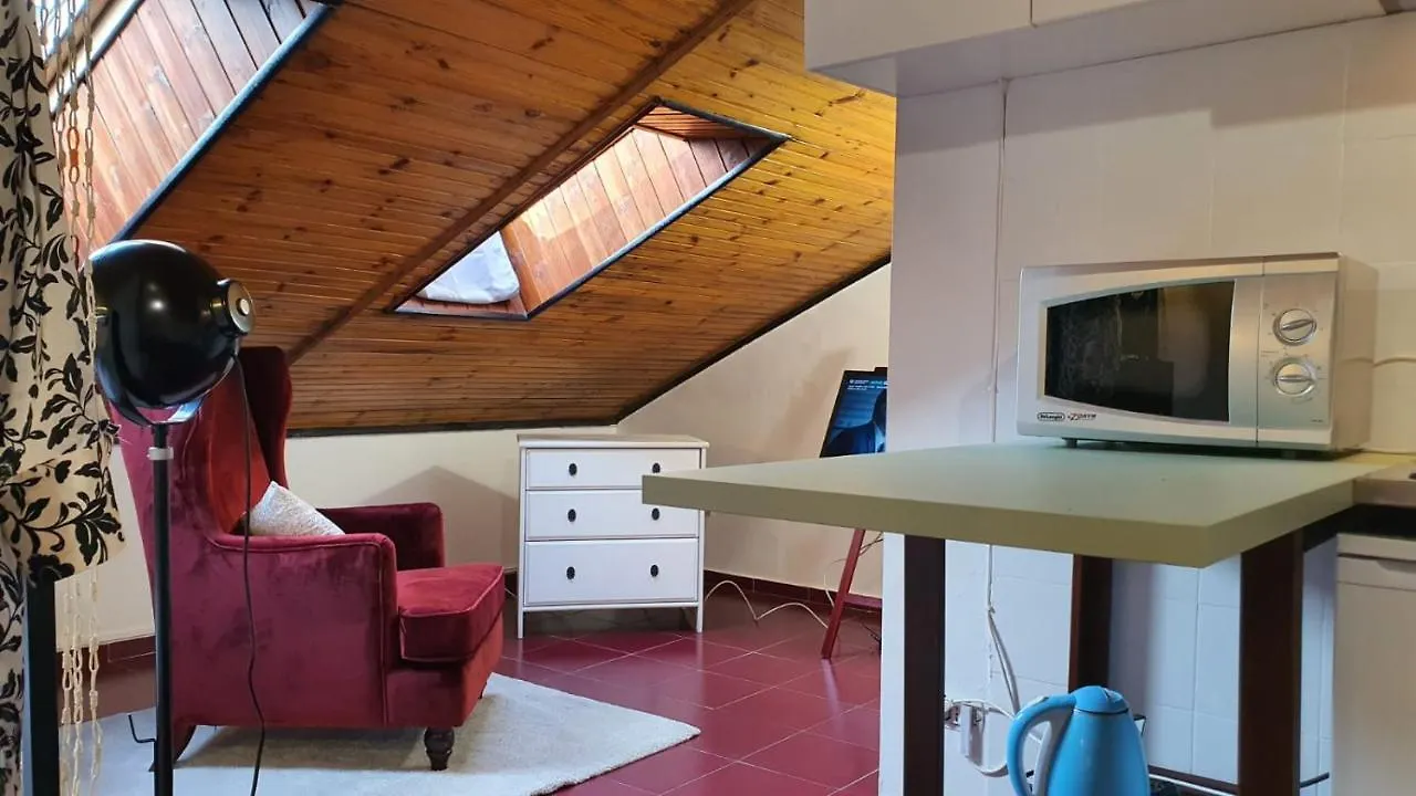 Mercanti Attic Version Διαμέρισμα Μιλάνο Ιταλία